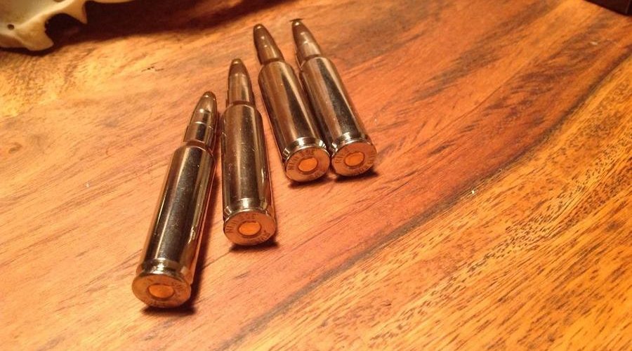 Jagdmunition: RWS Silver Selection im User-Test Jagdmunition: RWS Silver Selection im User-Test