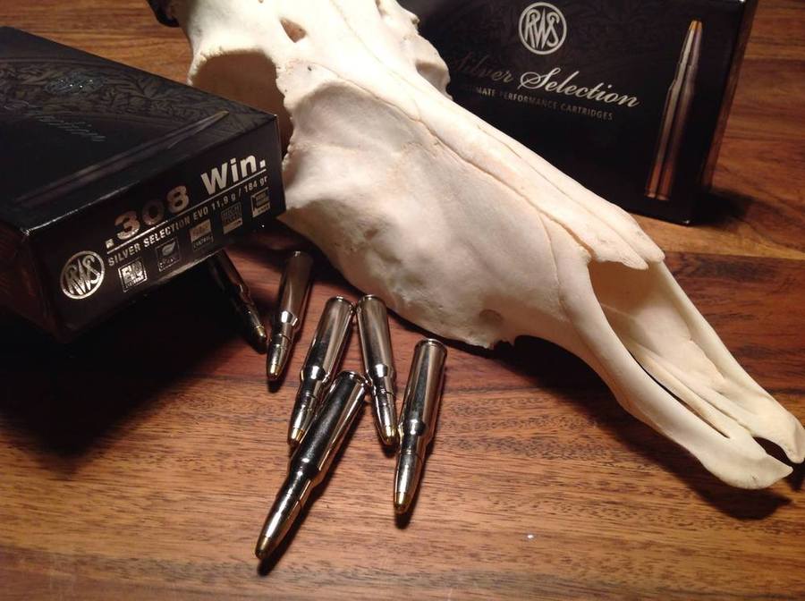 user-test: Jagdmunition: RWS Silver Selection im User-Test