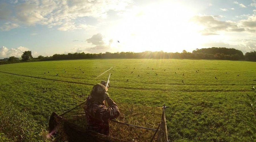 Browning Maxus Selbstladeflinte