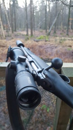 Dentler Montage BASIS im Test. Montage BASIS auf Jagdgewehr mit Zielfernrohr im Wald.