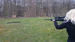 Laufender Hirsch für das Luftgewehr von GAMO im User-Test 20 Meter Entfernung auf die Bahn