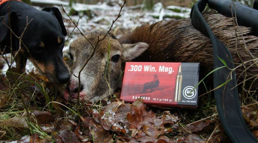 Das neue GECO Express im Test