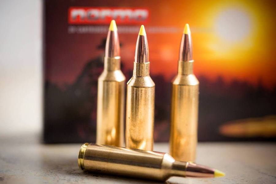 user-test: Kaliber .270 WSM im User-Test - Vergleich Federal und NORMA