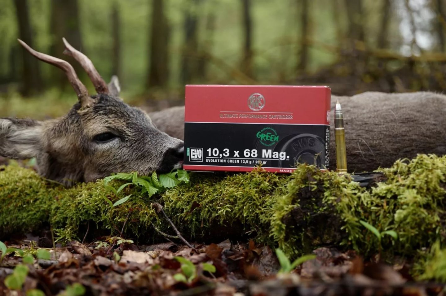 Kaliberportrait: RWS 10,3x68 Mag. im User-Test Kaliberverpackung und Geschoss neben erlegtem Reh