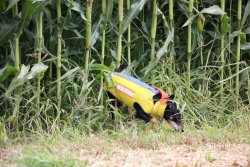 Mikut Hundeschutzweste für die Drückjagd im User-Test Mikut Hundeschutzwesten für mehr Sicherheit