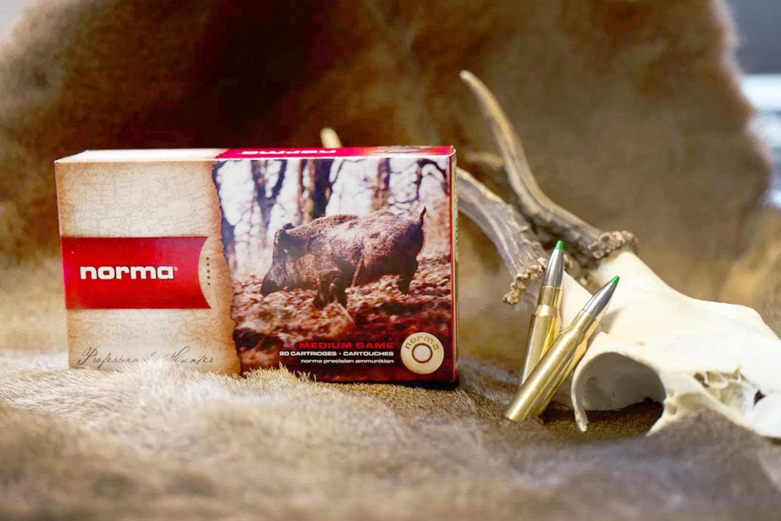 user-test: norma Ecostrike: das bleifreie Geschoss im umfassenden User-Test user-test: norma Ecostrike: das bleifreie Geschoss im umfassenden User-Test