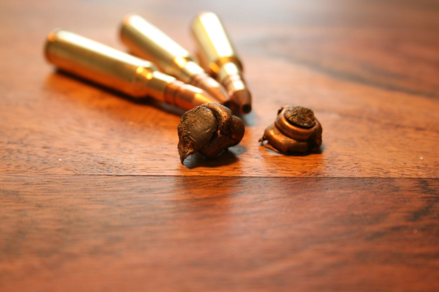 Die ausgewogenste Mittelpatrone von RWS: das RWS DK in 6,5x55