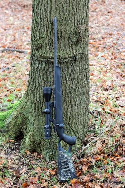 Sabatti Lochschaft Custom 98: 98er System im Sabatti Lochschaft lehnt am Baum