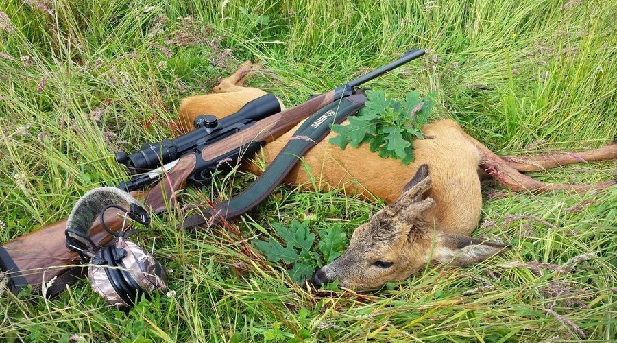 Repetierbüchse SAUER 404