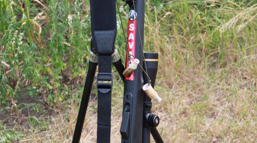 Savage Arms Model 25 Walking Varminter