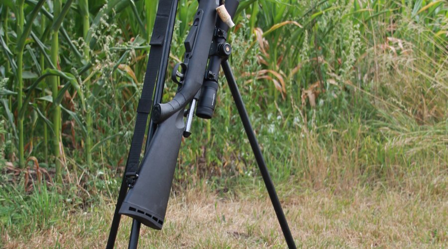 Savage Arms Model 25 Walking Varminter 17