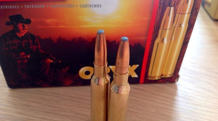 Mauser im Kaliber 6,5x55 im User-Test