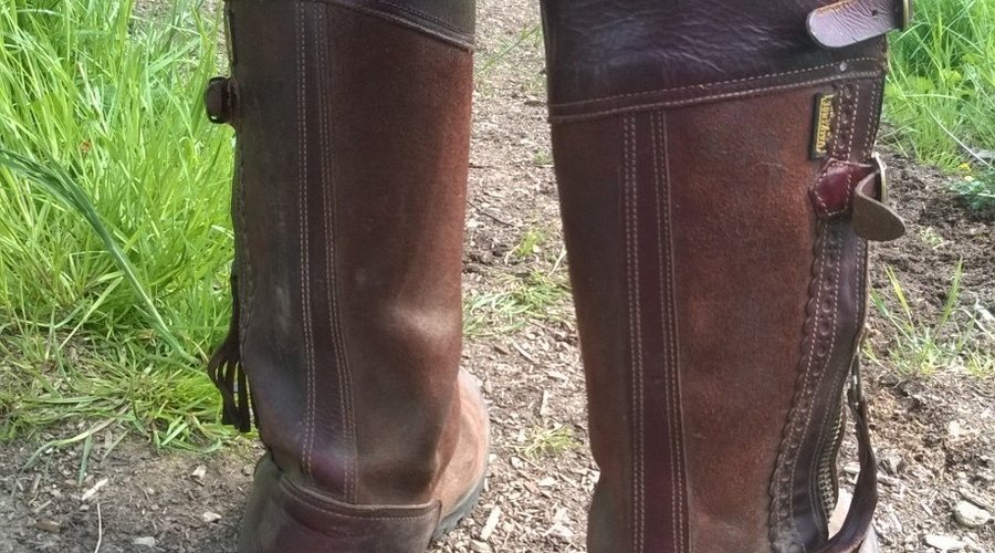 Sommerstiefel gegen Zecken Sommerstiefel gegen Zecken