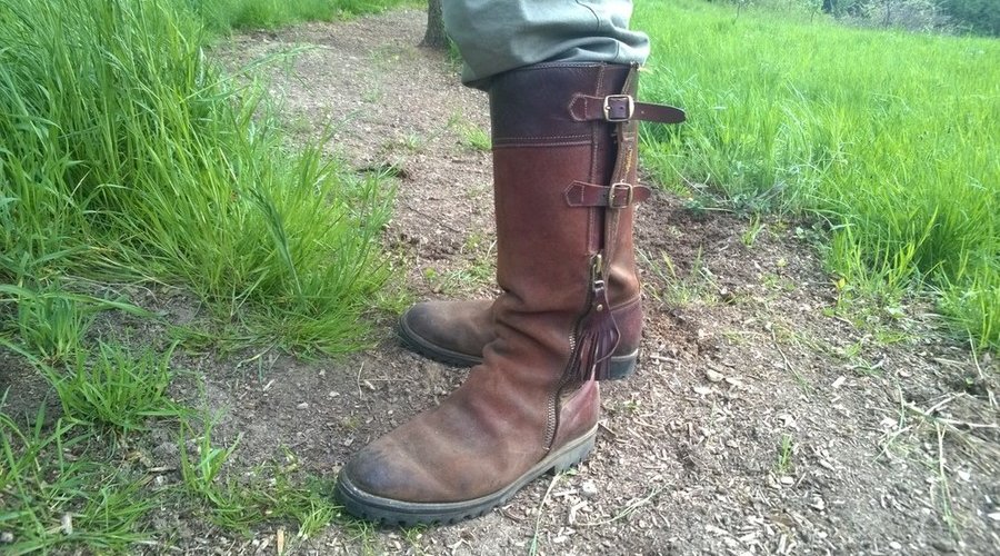 Sommerstiefel gegen Zecken Sommerstiefel gegen Zecken
