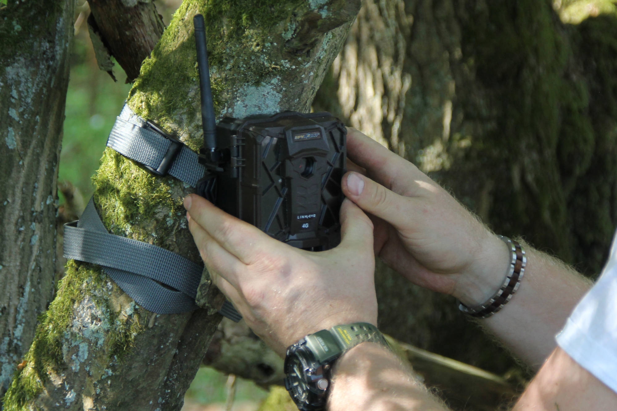 jagd-team nordschleswig: User-Test: Spypoint Link-Evo − was kann die Wildkamera mit Datenübertragung?