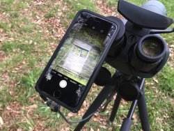 Swarovski BTX 30x85: neues Spektiv mit zwei Okularen im User-Test Digiscoping mit dem Teleskopsystem Swarovski BTX 30x85 und Smartphone