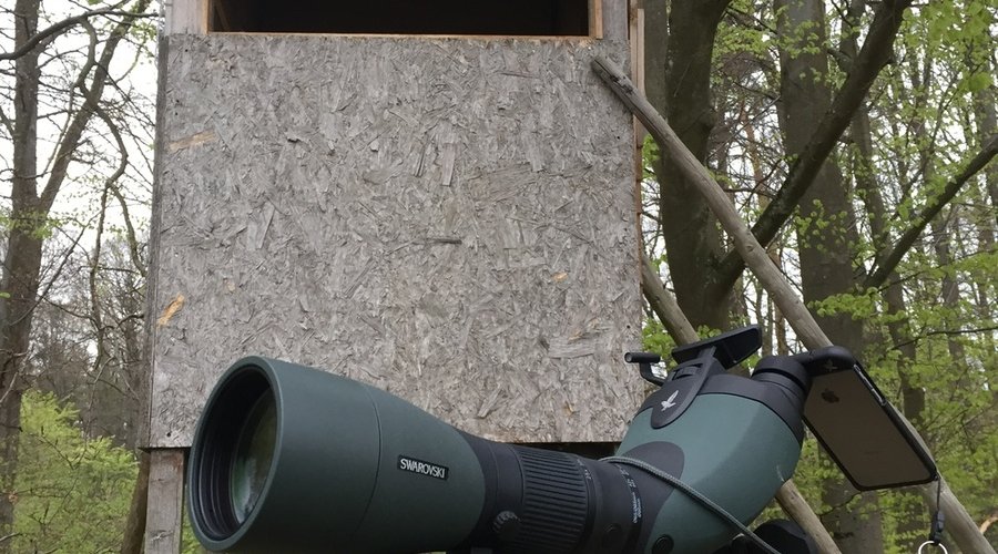 Swarovski BTX 30x85: neues Spektiv mit zwei Okularen im User-Test Spektiv Swarovski BTX 30x85 für verschiedene Jagdarten verwendbar