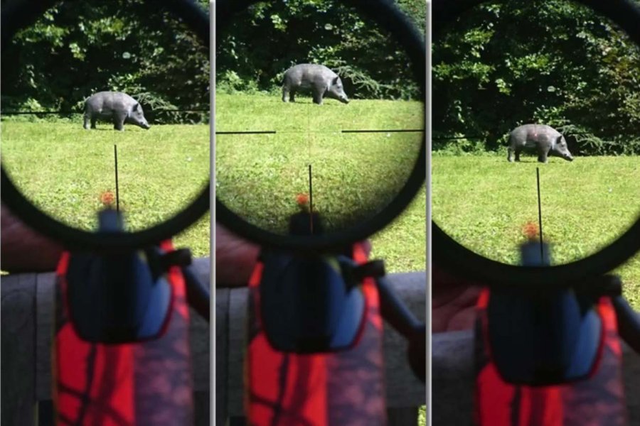 Swarovski Z8i 2,3-18x56 P im User-Test – Weil es auf die Optik ankommt! Der Blick durch die Zieloptik Z8i 2,3-18x56 P von Swarovski offenbar gestochen scharfe Bilder und eine tolle Randschärfe.
