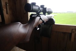 User-Test: Weihrauch HW 66 Production in .17 Hornet Weihrauch HW 66 Production auf dem Ansitz