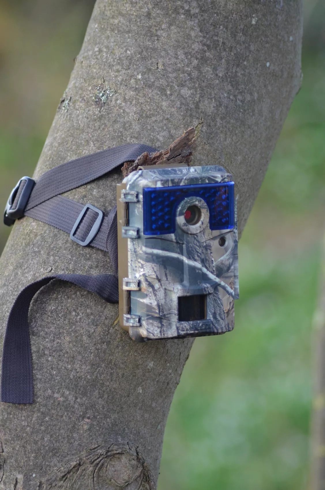 minox: MINOX DTC-700: die Wildkamera mit "Augen & Ohren" im User-Test minox: MINOX DTC-700: die Wildkamera mit "Augen & Ohren" im User-Test