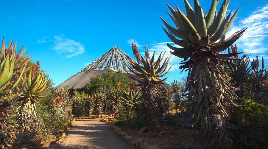 Auf der Jagd am Ostkap in Südafrika bei Frontier Safaris Auf der Jagd am Ostkap in Südafrika bei Frontier Safaris