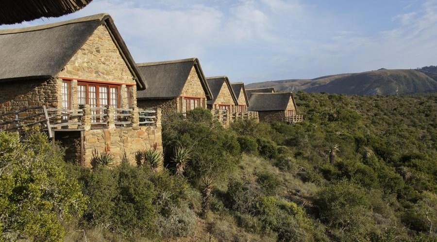Auf der Jagd am Ostkap in Südafrika bei Frontier Safaris Auf der Jagd am Ostkap in Südafrika bei Frontier Safaris