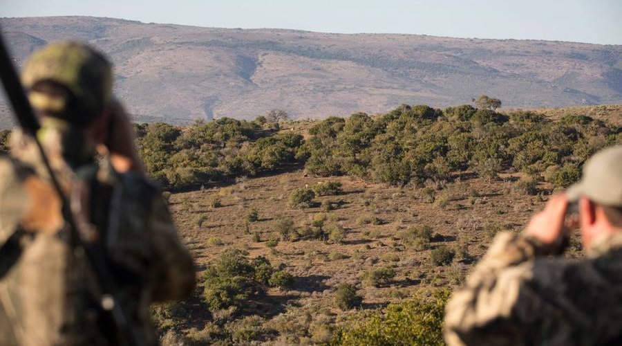Auf der Jagd am Ostkap in Südafrika bei Frontier Safaris Auf der Jagd am Ostkap in Südafrika bei Frontier Safaris