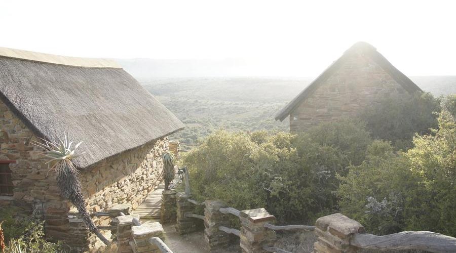 Auf der Jagd am Ostkap in Südafrika bei Frontier Safaris Auf der Jagd am Ostkap in Südafrika bei Frontier Safaris