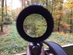 ZEISS Duralyt Zielfernrohr im User-Test Blick durch das ZEISS Duralyt