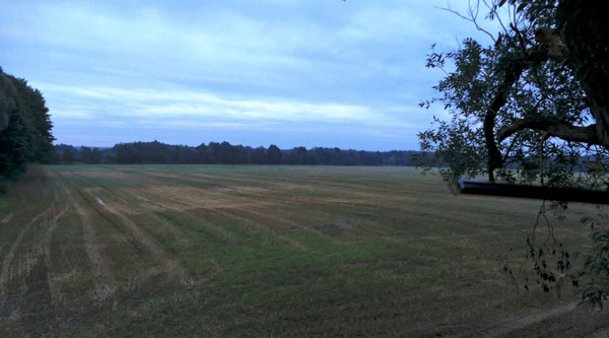 Die Blattzeit mit Tom von Jäger TV: Blattjagd im neuen Revier Stoppelfeld in der Dämmerung als idealer Standort für die Blattjagd in Deutschland