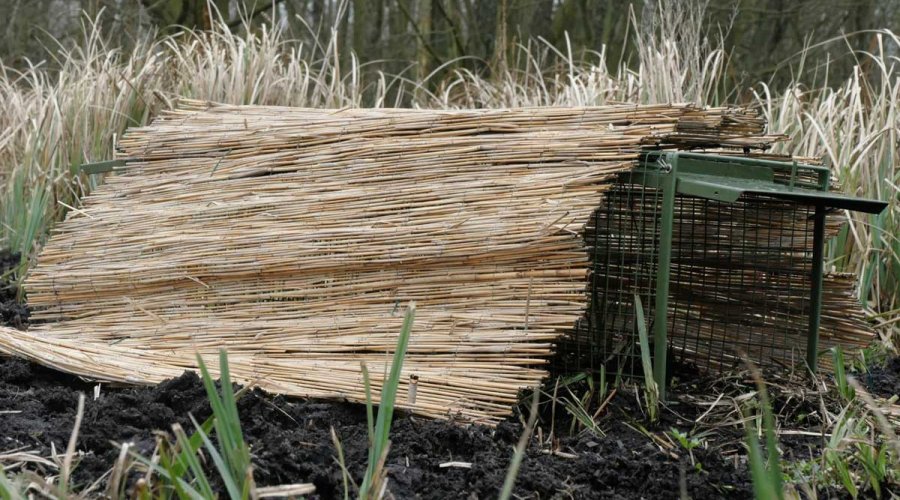 Fallenjagd auf Fuchs, Marder und Waschbär mit Tom von Jäger TV Für die Fallenjagd getarnte Lebendfalle aus Draht