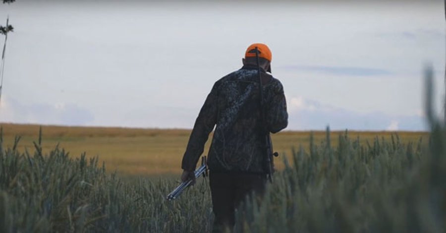 Jäger mit Büchse und Schießstock auf der Pirschjagd auf Weizenschweine