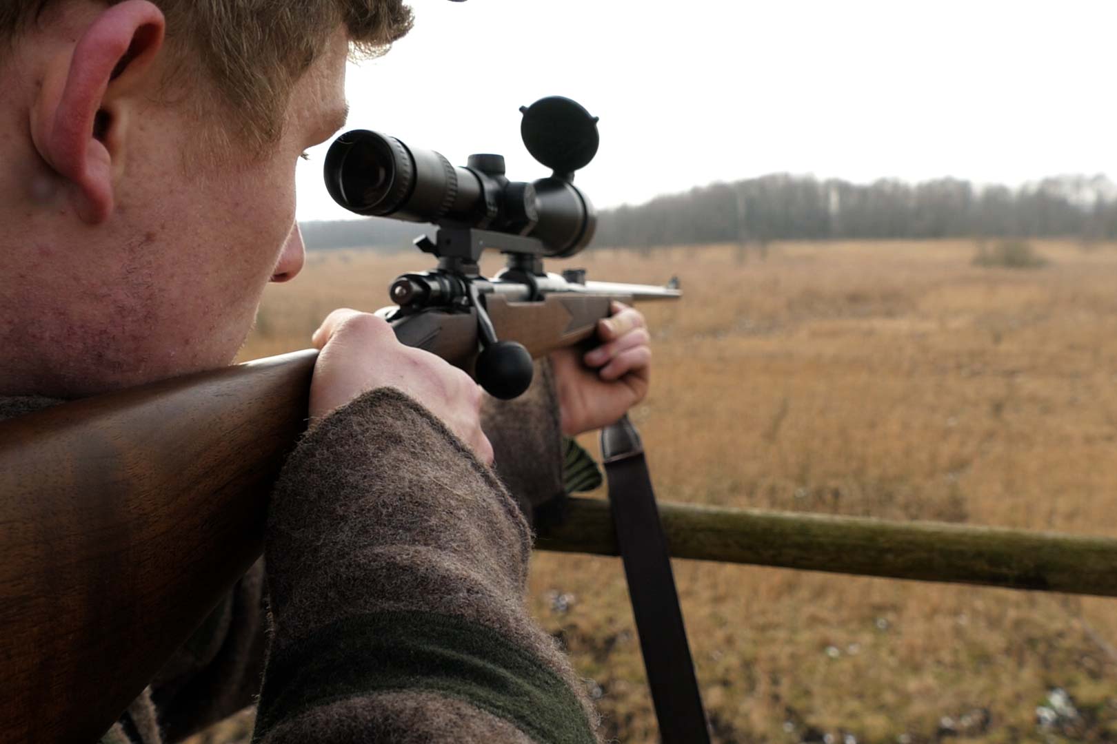 jagdwaffen: Ansitzjagd auf Wildschweine am Tag mit Tom von Jäger TV