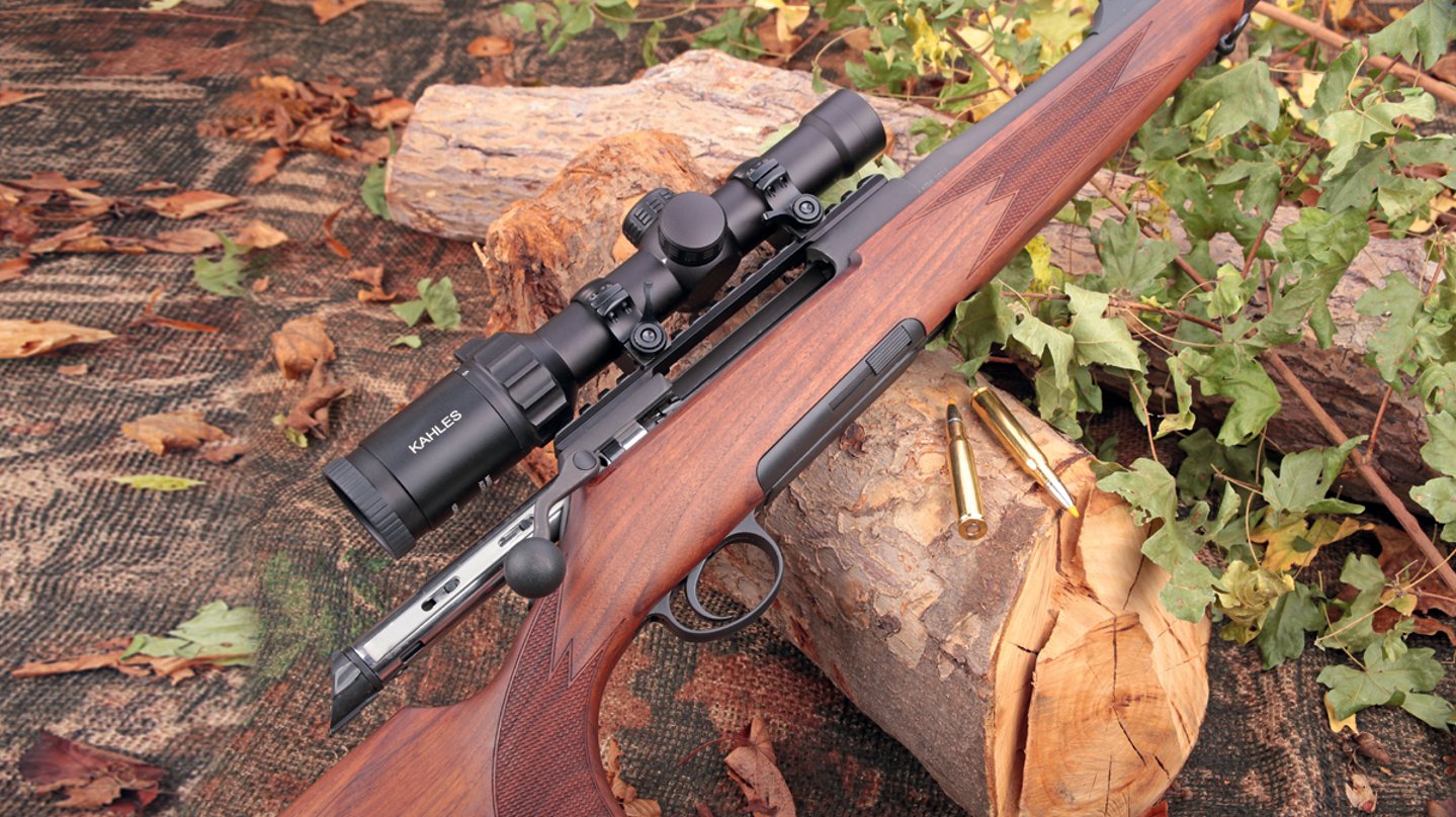 Repetierbüchse auf Holzscheit