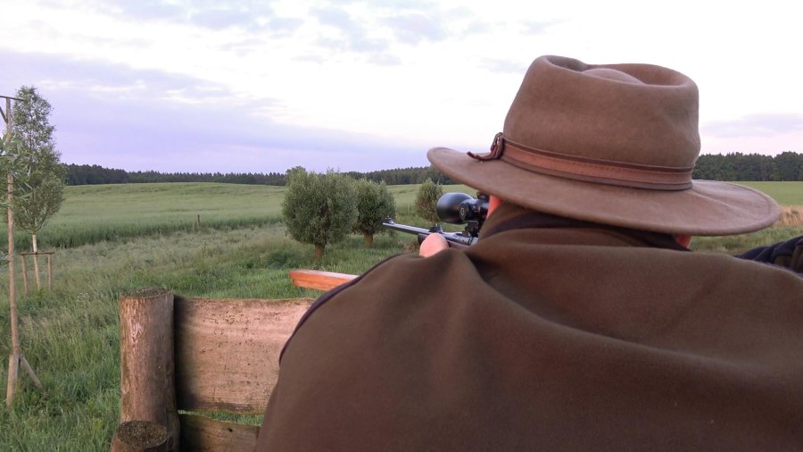 Heym SR 30 Büchse mit RWS HIT bei der Jagd Jäger auf dem Ansitz mit Heym SR 30