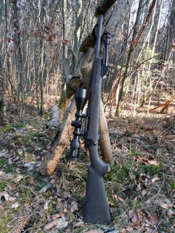Howa M 1500 Heavy Barrel von WAIMEX im Test: Was kann die jagdliche Repetierbüchse für unter 1.000,- Euro? Howa M1500 an einem Baum im Revier.