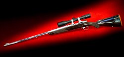 Max Ern: Büchsenmacher & Graveur Max Ern Repetierbüchse mit dem System Mauser 98, Kaliber 8x68S in Vollansicht