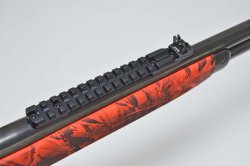 Visier des Pedersoli Boarbuster Picatinny Schiene