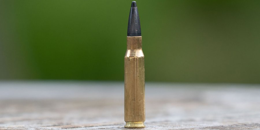 Tikka T3x Ace Game mit Burris Eliminator 6 und Norma Odin im Praxistest: Wie gut ist die Kombi auf der Jagd? Norma Odin