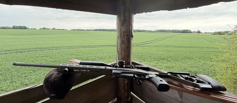 Tikka T3x Ace Game mit Burris Eliminator 6 und Norma Odin im Praxistest: Wie gut ist die Kombi auf der Jagd? Tikka ACE Game im jagdlichen Einsatz