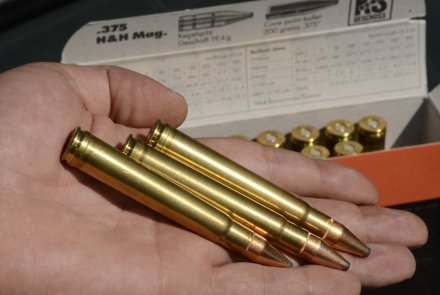 RWS ammunition in .375 H&H Mag RWS ammunition in .375 H&H Mag