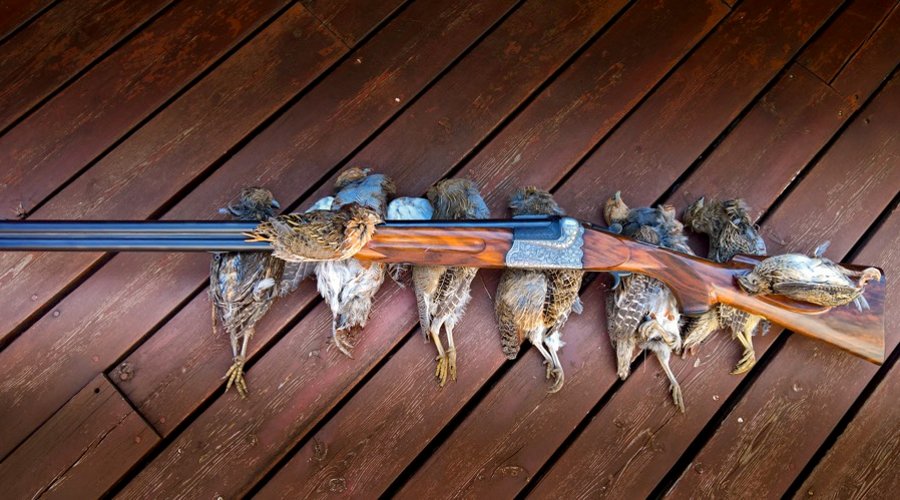 Knopfabzugsgewehr: eine spezielle Bockdoppelflinte für die Jagd Knopfabzugsgewehr von E.R. Martin als Bockdoppelflinte für die Jagd mit erlegten Rebhühnern
