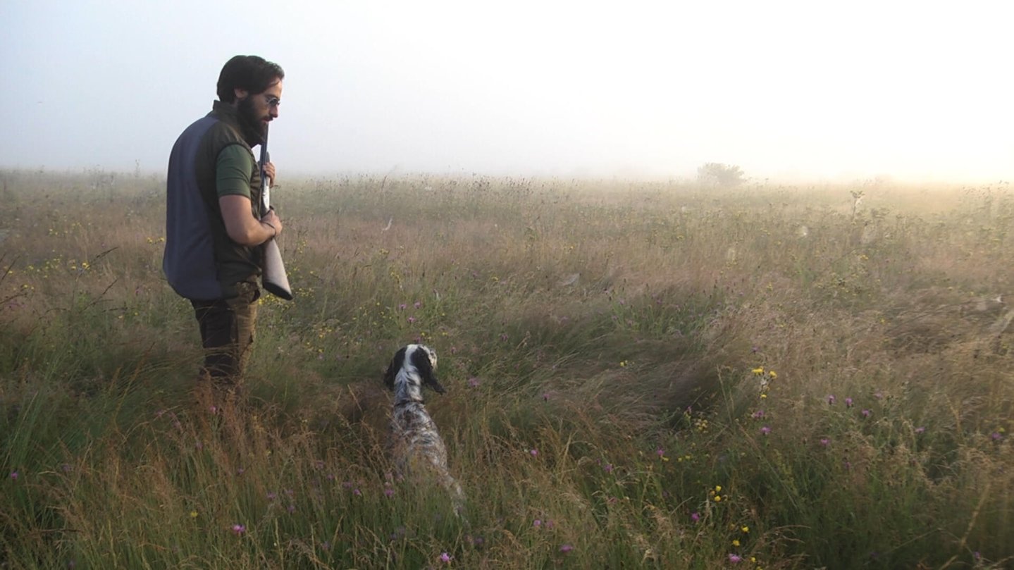 Wachteljagd mit der Fausti DEA Luxury Doppelflinte im Kaliber 28 Wachteljagd mit der Fausti DEA Luxury Doppelflinte und Vorstehhund im Morgengrauen