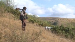 Auf der Jagd mit der Bockflinte Benelli 828U Black Jäger mit Benelli 828U Black und Hund