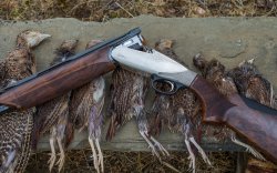 Auf Rebhuhnjagd in Italien mit der Benelli 828U Bockflinte Bockflinte Benelli 828U mit abgekipptem Lauf auf erlegten Rebhühnern