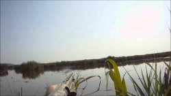 Benelli M2 Jagd am Wasser