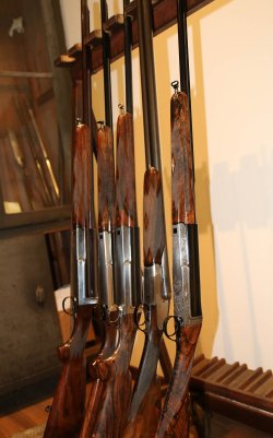 Die halbautomatische Flinte mit Kipplaufsystem von Cosmi – Evolution einer einzigartigen Waffe aus Italien Flinten von Cosmi nebeneinander aufgereiht.