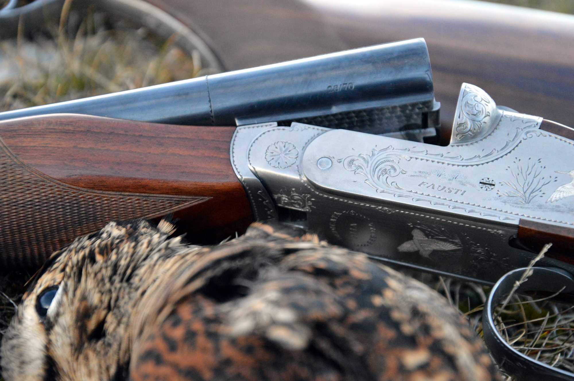 fausti: Jagd auf Waldschnepfen mit der Fausti Dea SL und der Fausti Class SL
