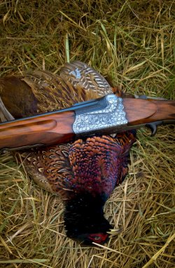 Knopfabzugsgewehr: eine spezielle Bockdoppelflinte für die Jagd Für die Jagd restauriertes Knopfabzugsgewehr von E.R. Martin mit erlegtem Fasan