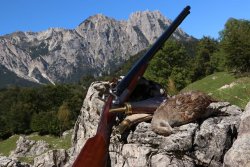 Pedersoli Waterfowl in der freien Natur Die Doppelflinte von Davide Pedersoli im Kaliber 20 und ein Rebhuhn